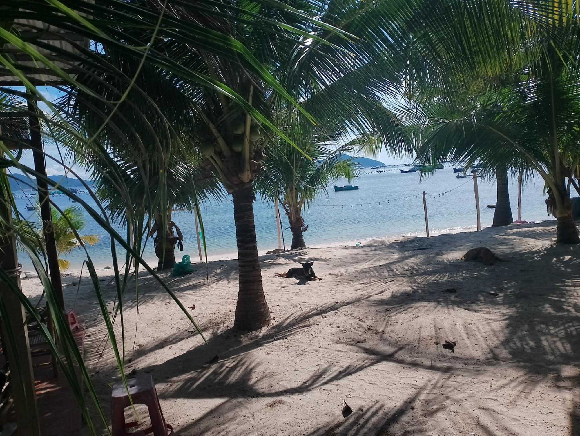 The Sunrise Anh Tu Hotell Cam Ranh Rum bild